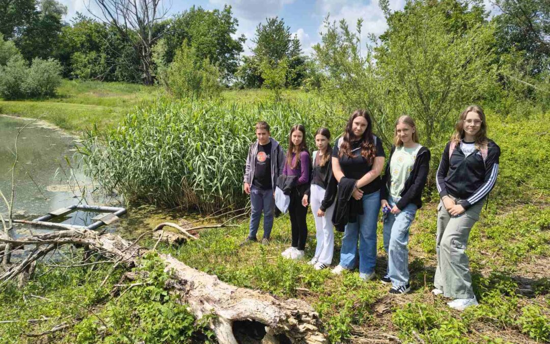 Alien CSI Bioblitz 2025.