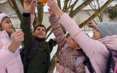 Mali vrtlari u akciji: izrada hranilica za ptice